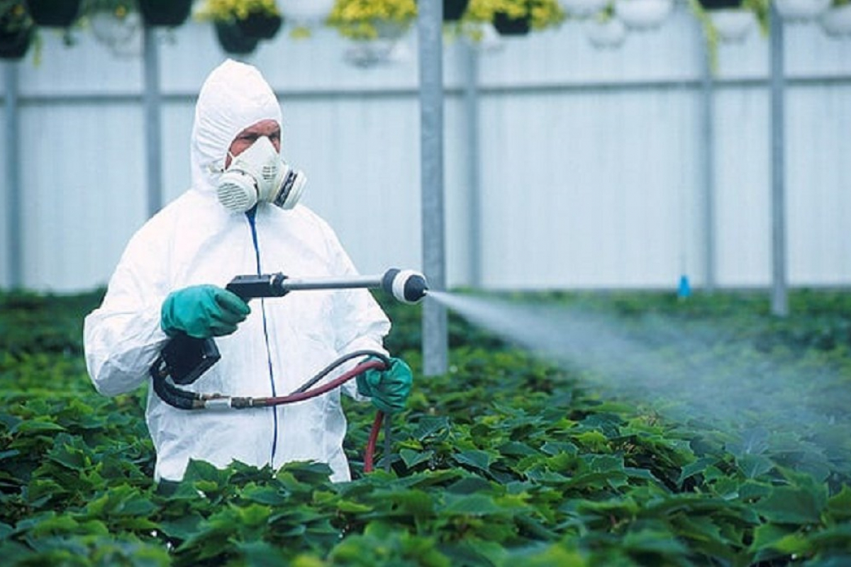 Пестициды и химические удобрения. Пестициды. Пестициды и инсектициды. Пестициды и гербициды. Пестициды в сельском хозяйстве.